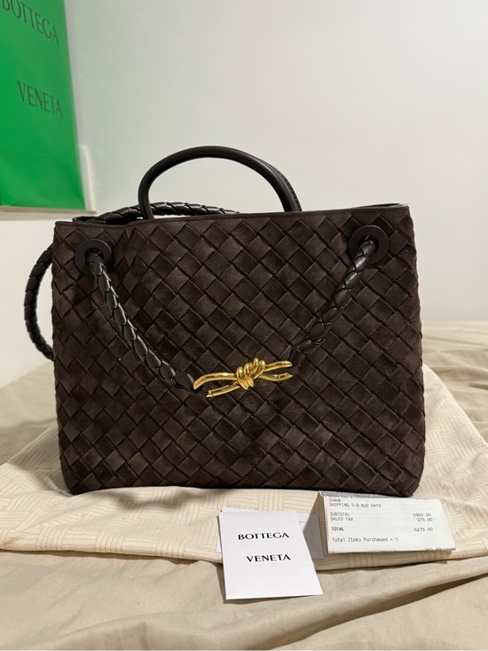 Bottega Veneta Handbags - Bottega Veneta Andiamo Suede medium Fondant